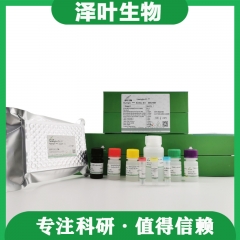Human (XK)ELISA Kit (ZY-E68554H) - 泽叶生物-ELISA试剂盒,试剂盒 