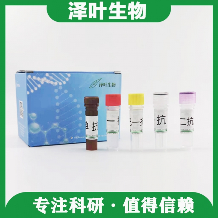 PE-Cy3标记的L型钙通道蛋白a1亚型6抗体ZY613823LAB - 泽叶生物-ELISA 