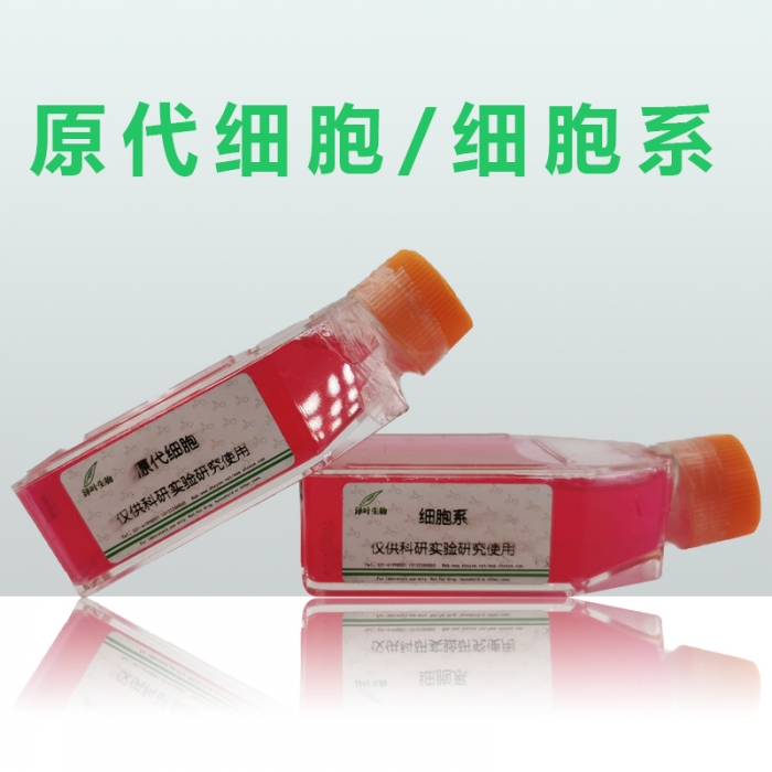 CAL51 人乳腺癌细胞（三阴性） ZY-C6923H - 泽叶生物-ELISA试剂盒,试剂 