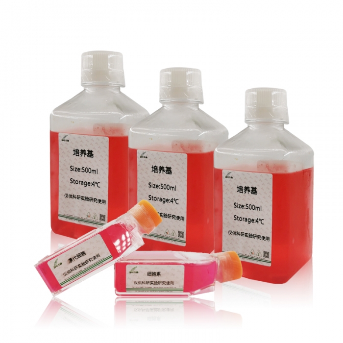 2×酵母MM培养基/无机盐培养基ZY64600PM - 泽叶生物-ELISA试剂盒,试剂盒