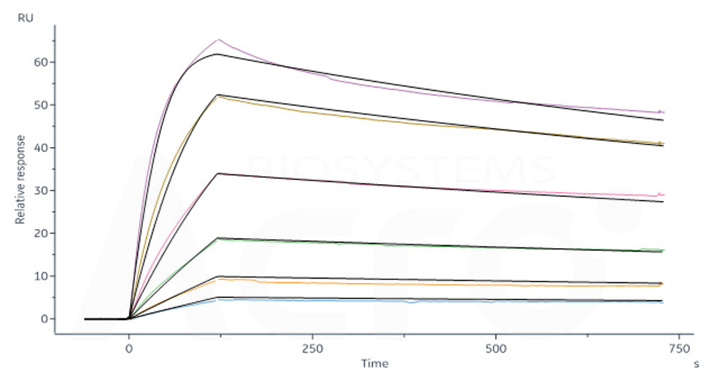 Biotinylated Human SPR